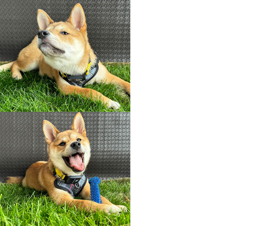2hHup6