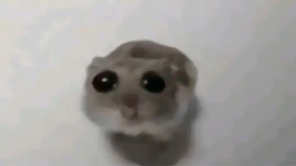 5LU5Md