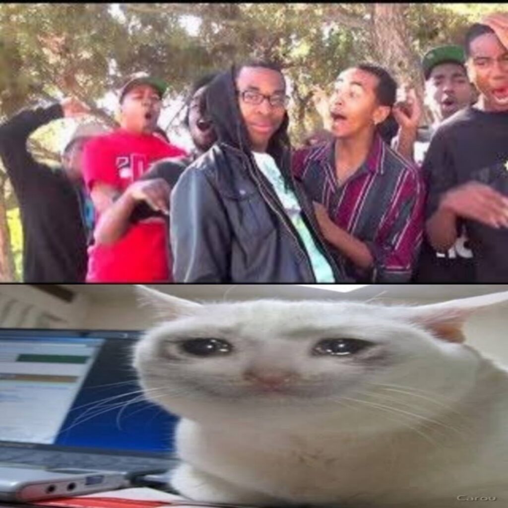 6esBfb
