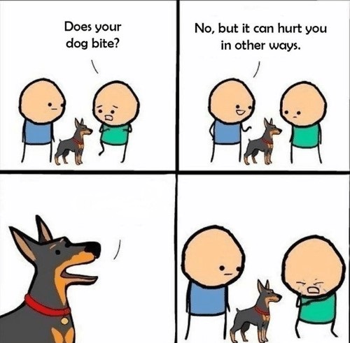 KAdg0E