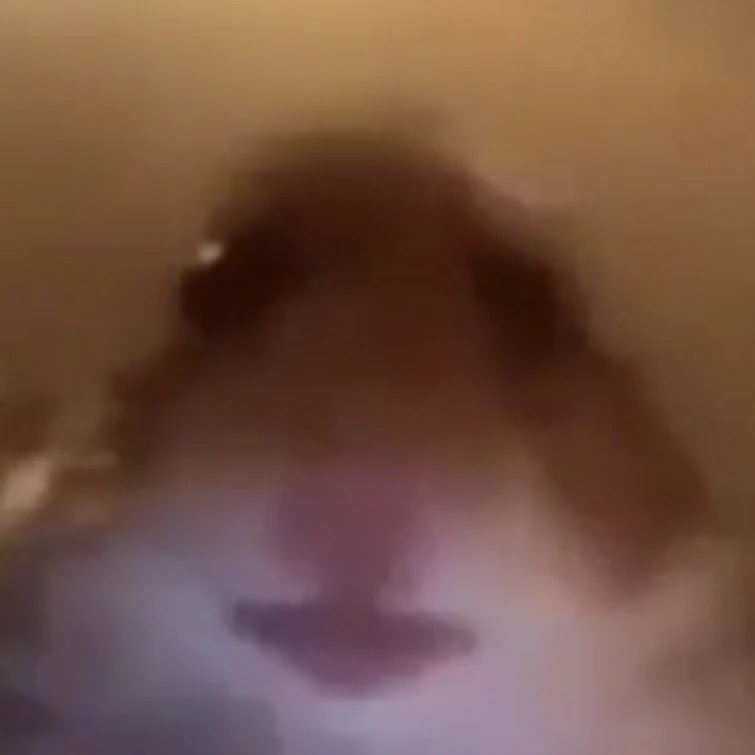 MsKV3R