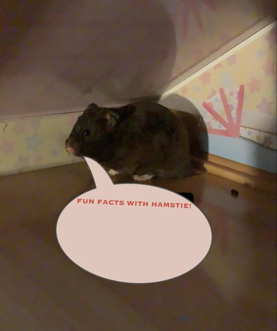 NupWD3