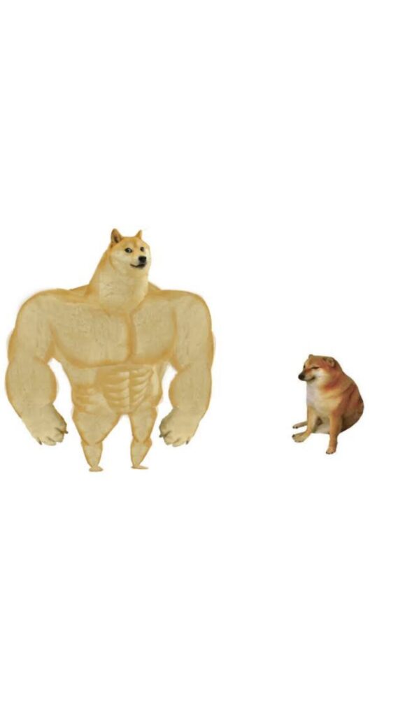 OQPew6