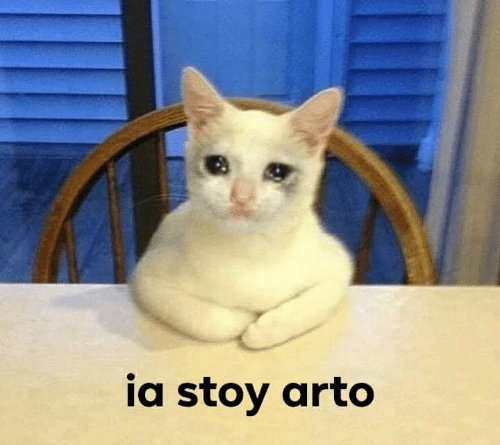 crying cat meme