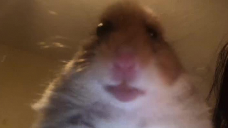 iljy4U