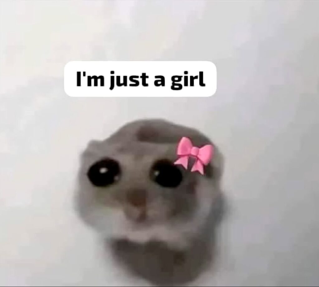 sad hamster meme