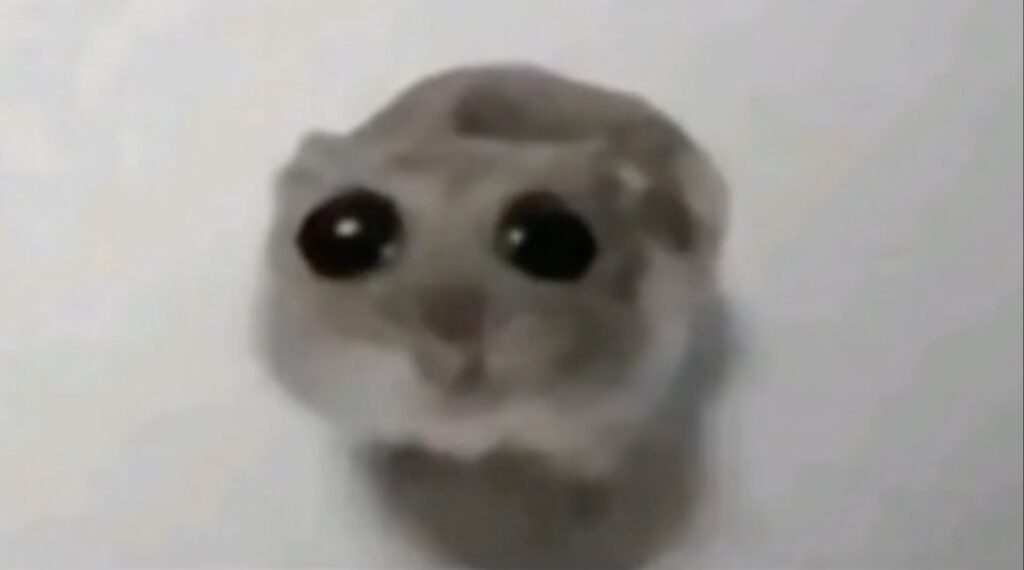 mOXnUV