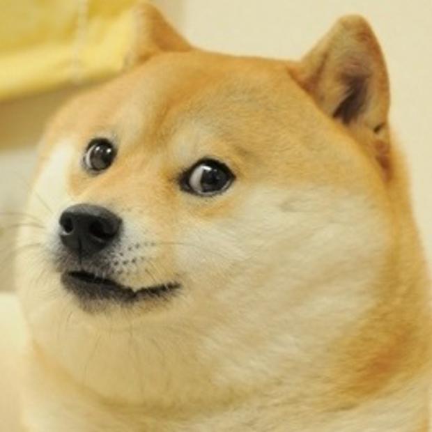 pWcFJZ